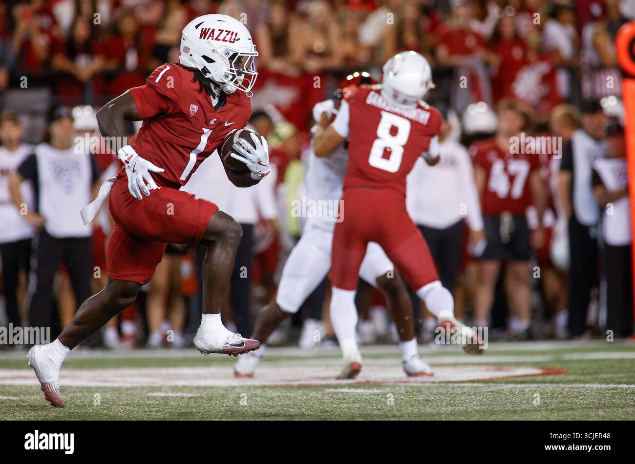 PULLMAN, WA - SEPTEMBER 06: Washington State Cougars running back Angel Johnson (1) runs with the ball during the game between the San Diego State Aztecs and the Washington State Cougars on September 6, 2025, at Martin Stadium in Pullman, WA. (Photo by Oliver McKenna/Icon Sportswire) (Icon Sportswire via AP Images) Stockfoto