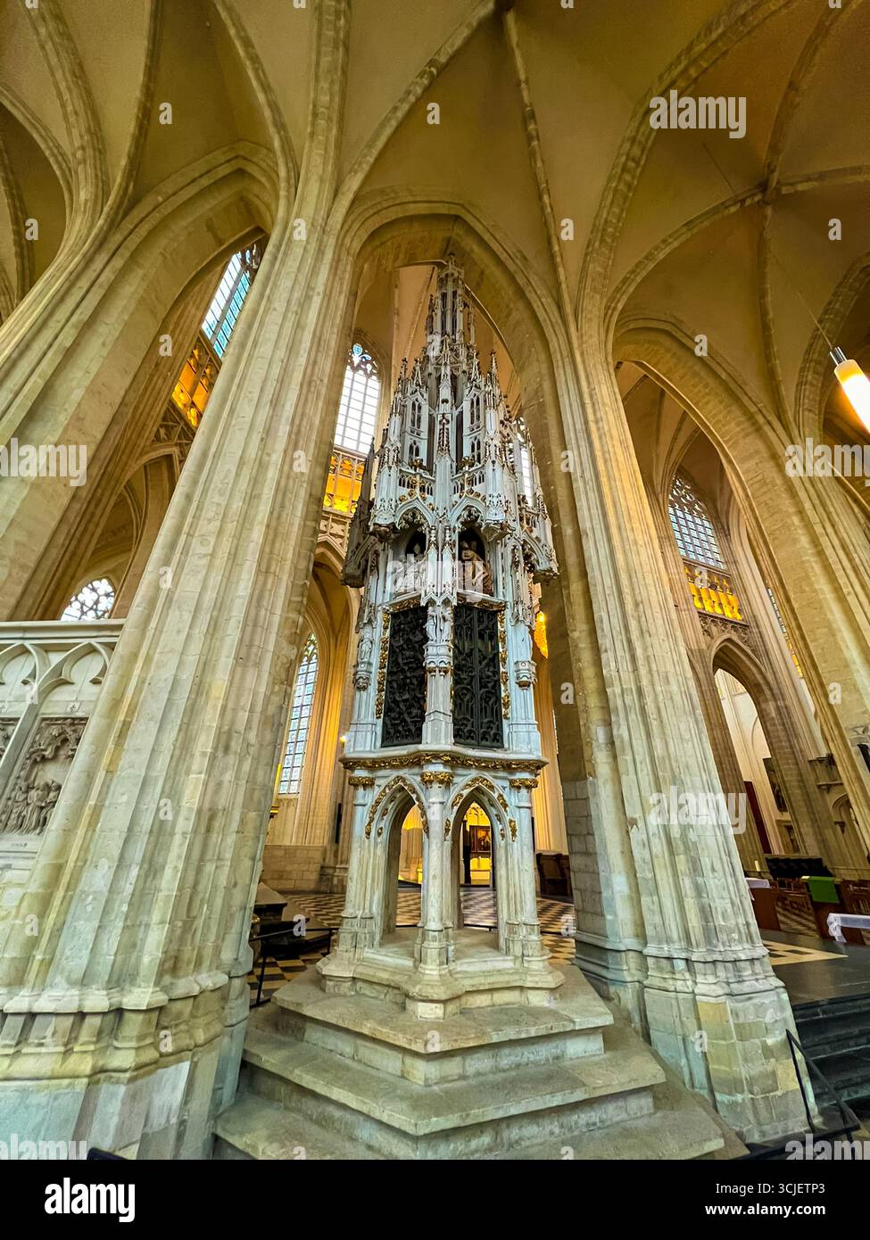 Das Innere des Leuvener Doms mit gotischer Architektur und eleganten Säulen Stockfoto