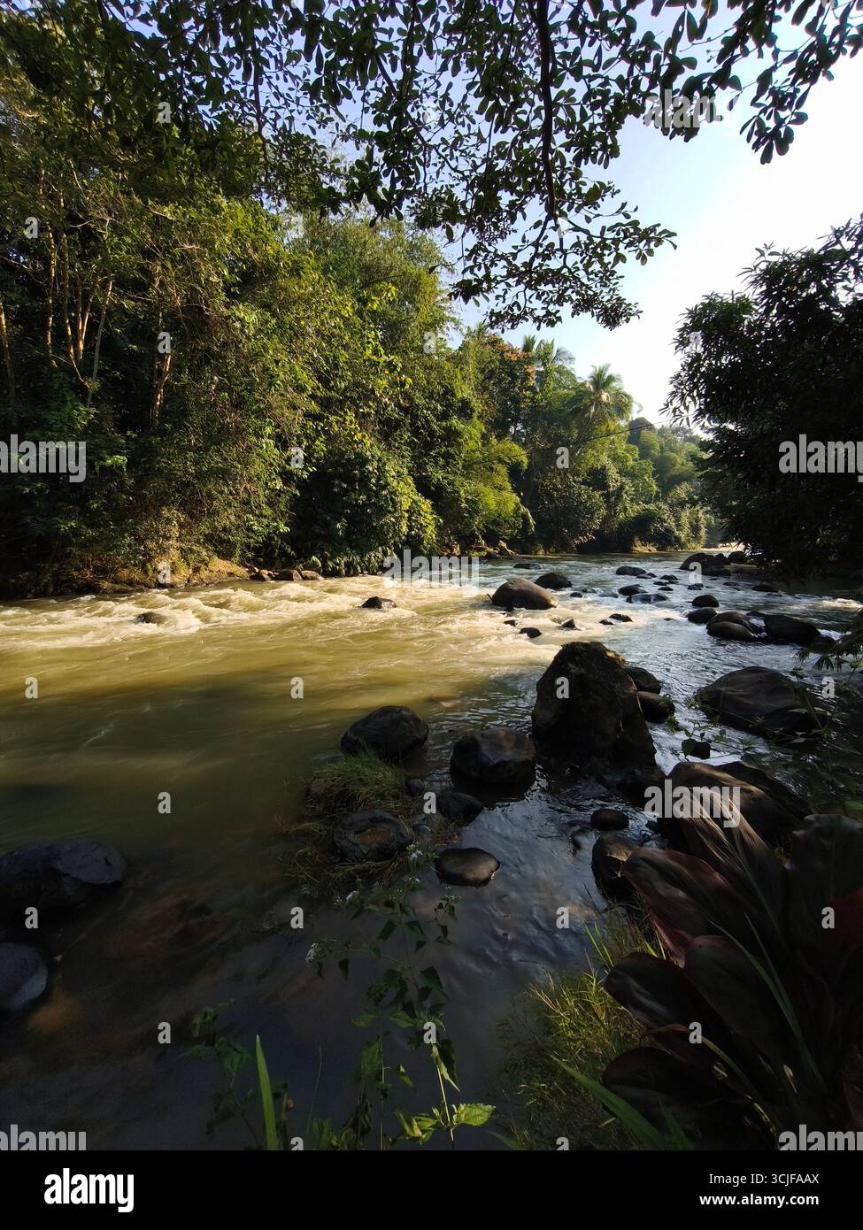 Fluss fließt mit Felsen im tropischen Wald Indonesiens Stockfoto