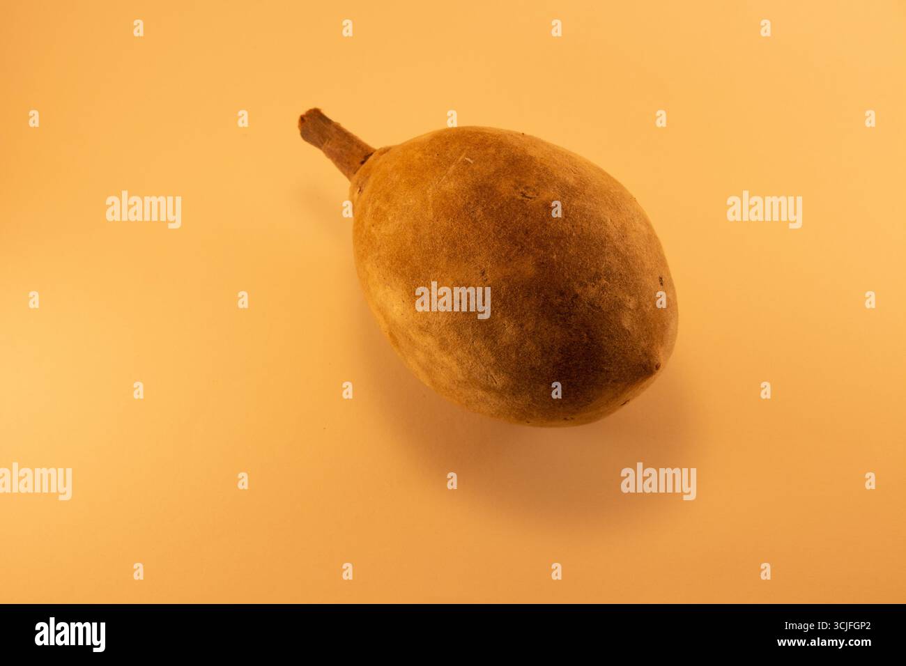 Traditioneller afrikanischer Baobab (Adansonia digitata) Frucht Natural Pod Stockfoto