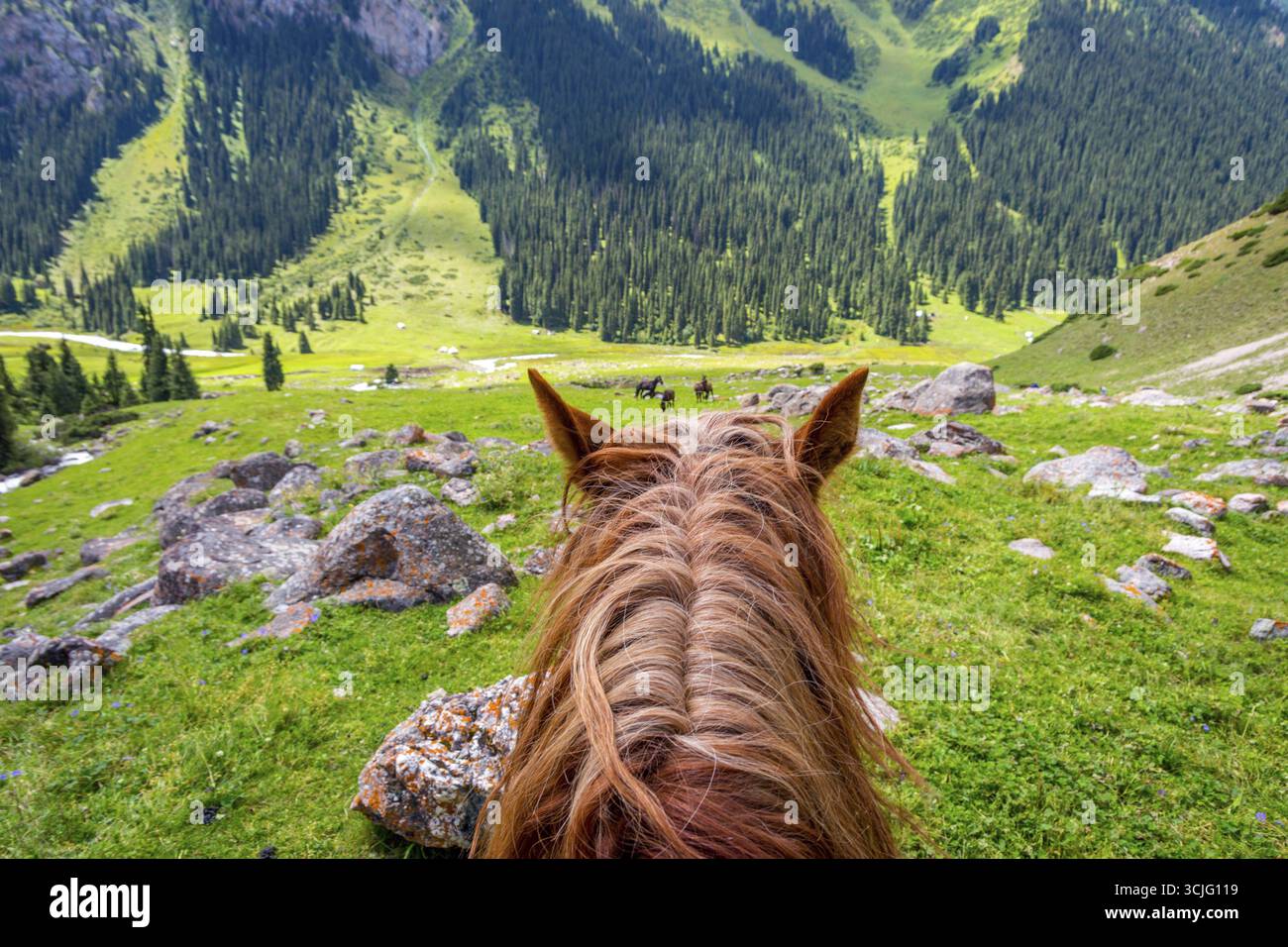 Blick auf den steilen Pfad vom Pferd zurück, Altyn Arashan, Kirgisistan Stockfoto Blick auf den steilen Pfad vom Pferd zurück, Altyn Arashan, Kirgisistan Stockfoto