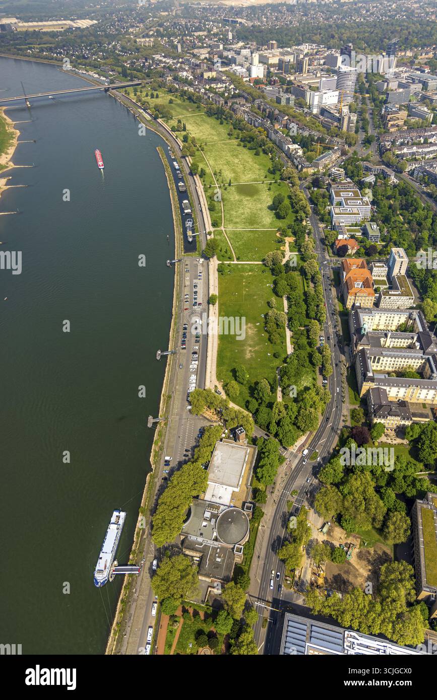 Luftansicht, Rheinpark, Rhein, Sporthafen Robert-Lehr-Ufer, Rheinterrasse Düsseldorf bei Stockheim, Golzheim, Landkreis, höhere Re Stockfoto