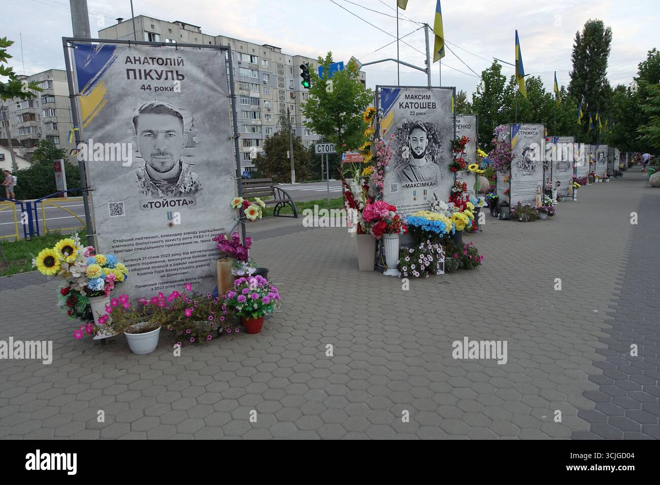 Die Gasse der Helden, zu Ehren der ukrainischen Soldaten, die Mariupol verteidigten, in Obuchiv getötet wurden Stockfoto Die Gasse der Helden, zu Ehren der ukrainischen Soldaten, die Mariupol verteidigten, in Obuchiv getötet wurden Stockfoto