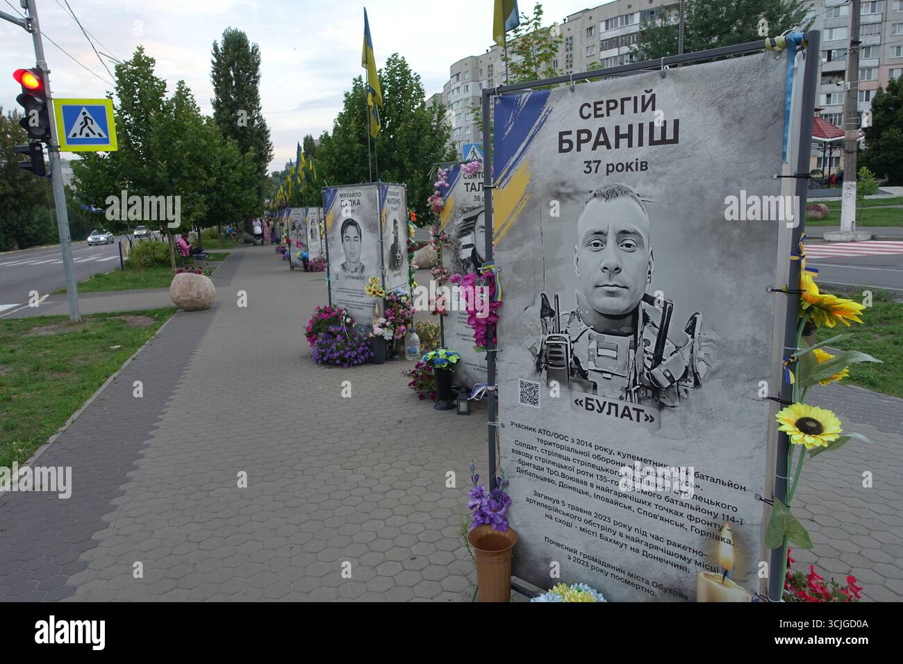 Die Gasse der Helden, zu Ehren der ukrainischen Soldaten, die Mariupol verteidigten, in Obuchiv getötet wurden Stockfoto Die Gasse der Helden, zu Ehren der ukrainischen Soldaten, die Mariupol verteidigten, in Obuchiv getötet wurden Stockfoto