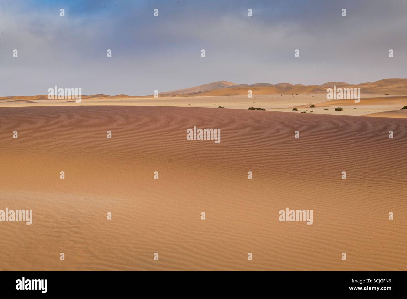 Dünen- und Wüstenlandschaft in der Nähe von Swakopmund Stockfoto
