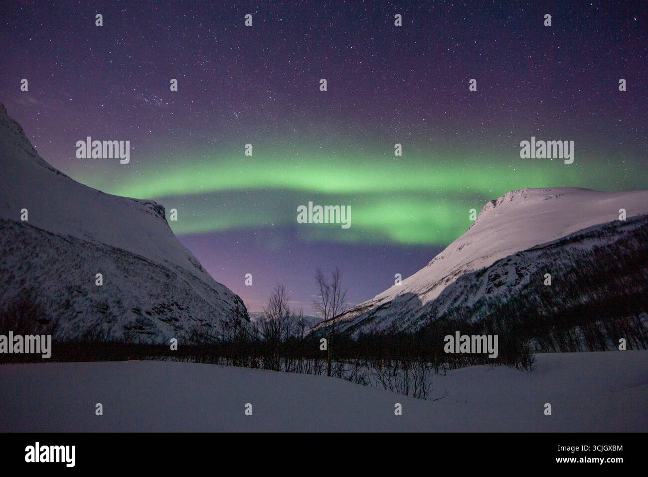 Nordlichter, aurora borealis, in einem klaren Himmel über Bergen in Norwegen; sieht aus wie eine elektrische Ladung zwischen zwei Bergen Stockfoto