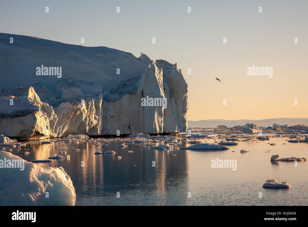 Eisberge unter der Mitternachtssonne in Disko Bay, Grönland Stockfoto