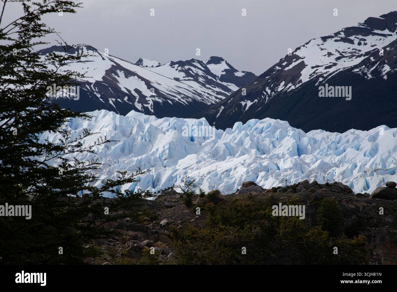 Perito Moreno Gletscher in Argentinien, Südamerika mit Bergen und Vegetation Stockfoto