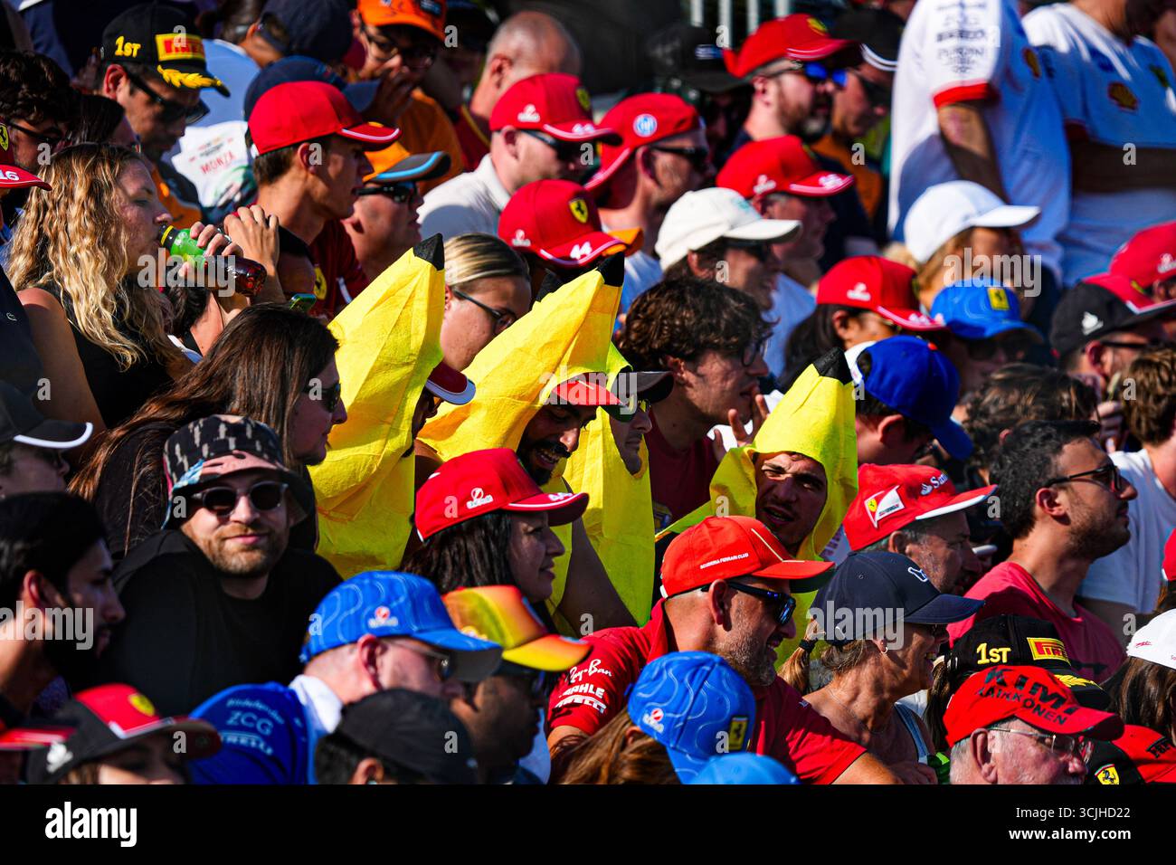 Tifosi Ferrari Supporterswährend der Formel 1 Pirelli Gran Premio d'Italia 2025 auf dem Monza Circuit, Lombardei, Italien. , . Vom 6. Bis 9. September 2025. Runde 16 der FIA Formel-1-Weltmeisterschaft 2025. (Foto: Alessio de Marco/SIPA USA) Credit: SIPA USA/Alamy Live News Stockfoto
