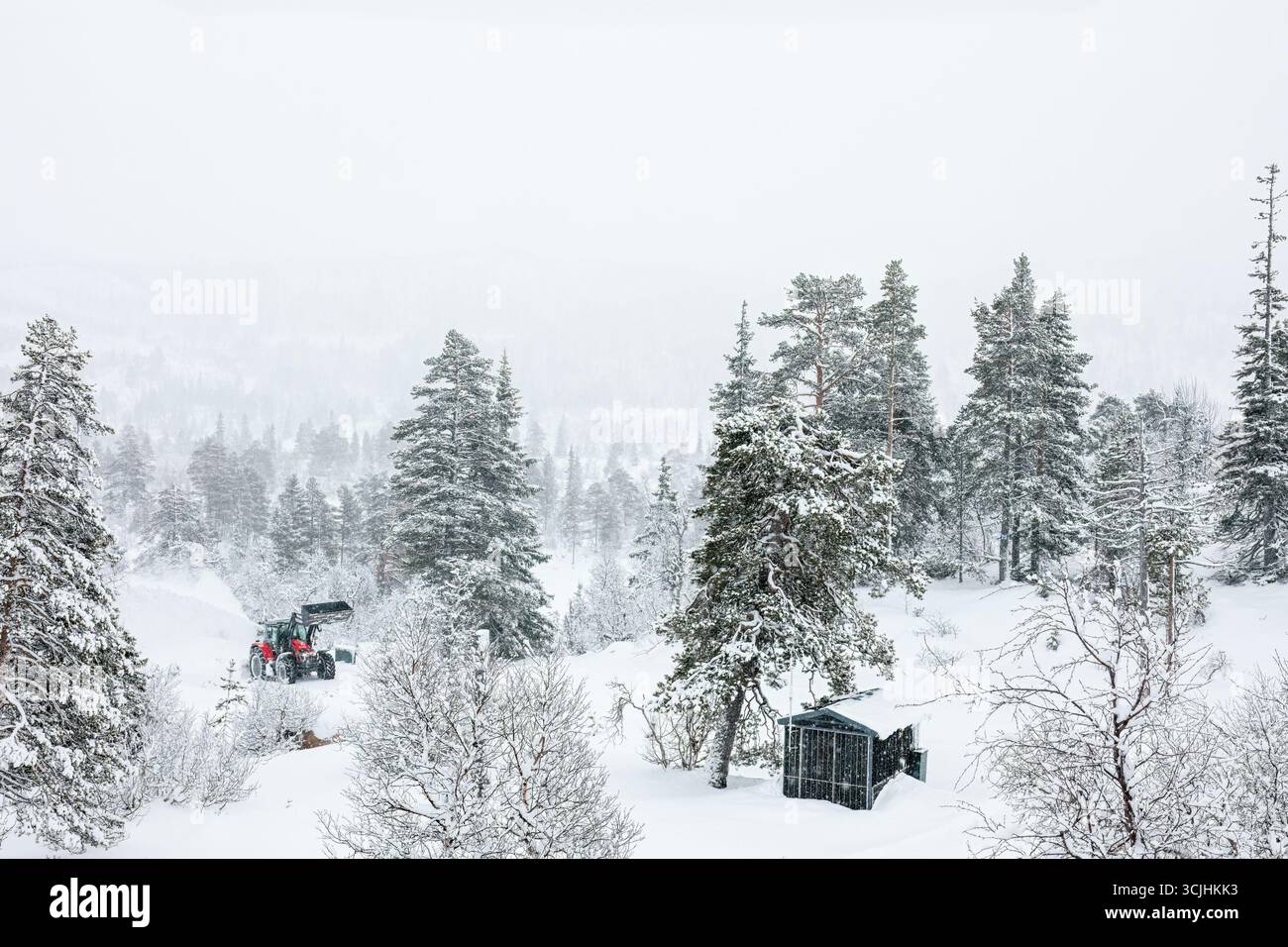 Winterszene mit schneebedeckten Bäumen und einer Gruppe von Menschen, die Maschinen bedienen, die Zusammenarbeit und die ruhige Schönheit einer verschneiten Umgebung betonen Stockfoto