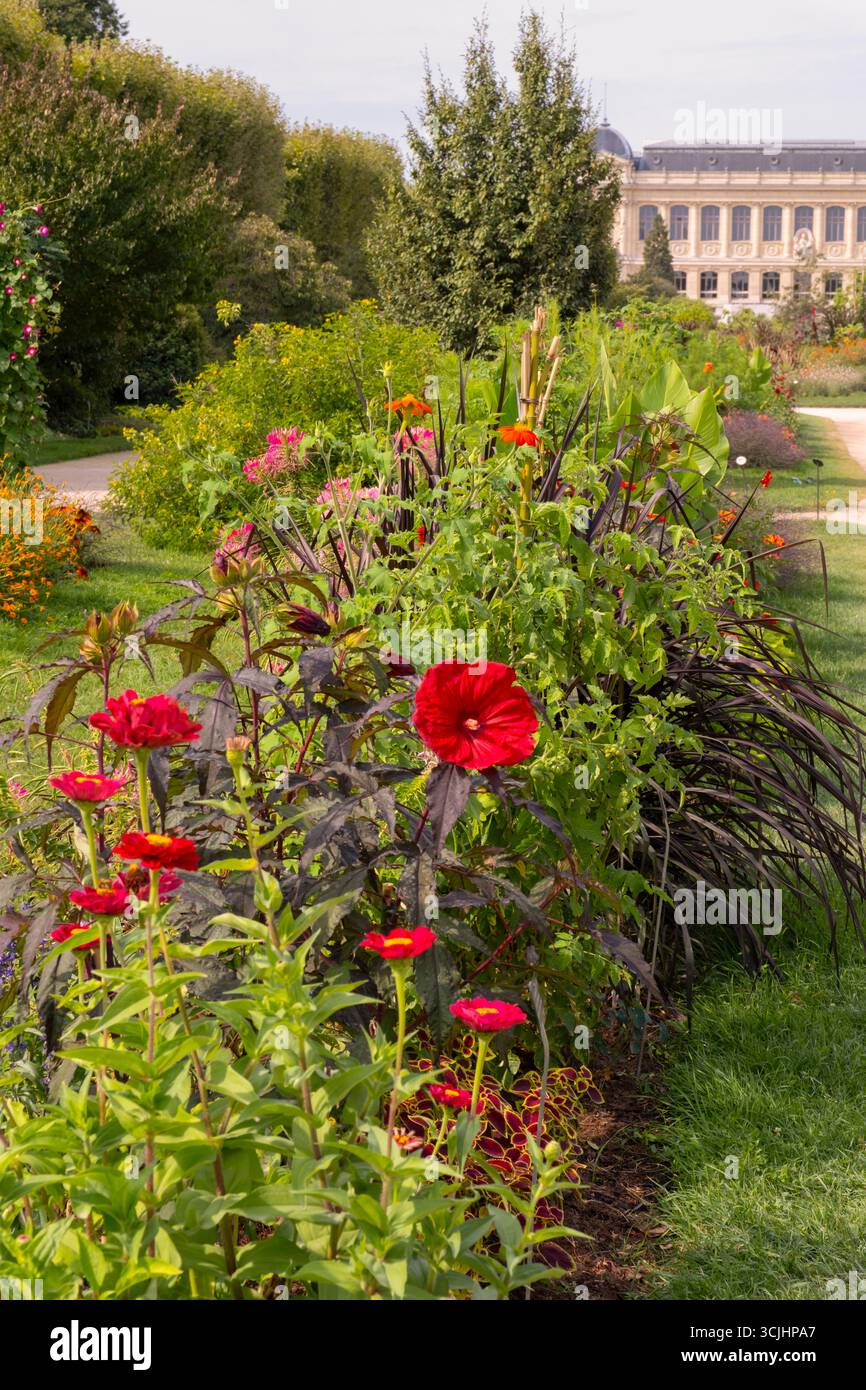 Sommerblumenbeete im Jardin des Plantes in Paris, Frankreich Stockfoto