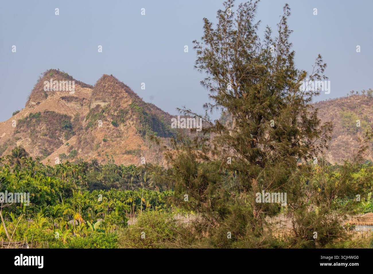 Steiler, zerklüfteter Hügel mit karger Vegetation mit Blick auf dichte Palmen der Küste Bangladeschs. Stockfoto