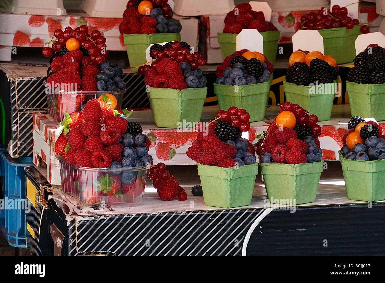 Obstmarktstand in Riga, Lettland. Früchte und Beeren in Plastikkörben. Stockfoto