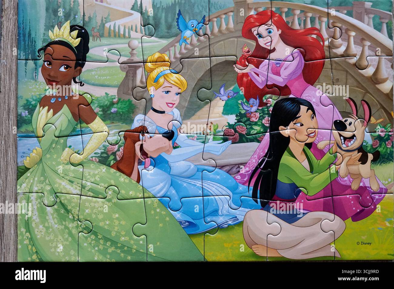 Danzig, Polen - 7. September 2025: Zauberhaftes Prinzessin-Puzzle Mit Den Berühmten Disney-Charakteren Cinderella, Mulan, Ariel Mermaid Und Tiana Stockfoto