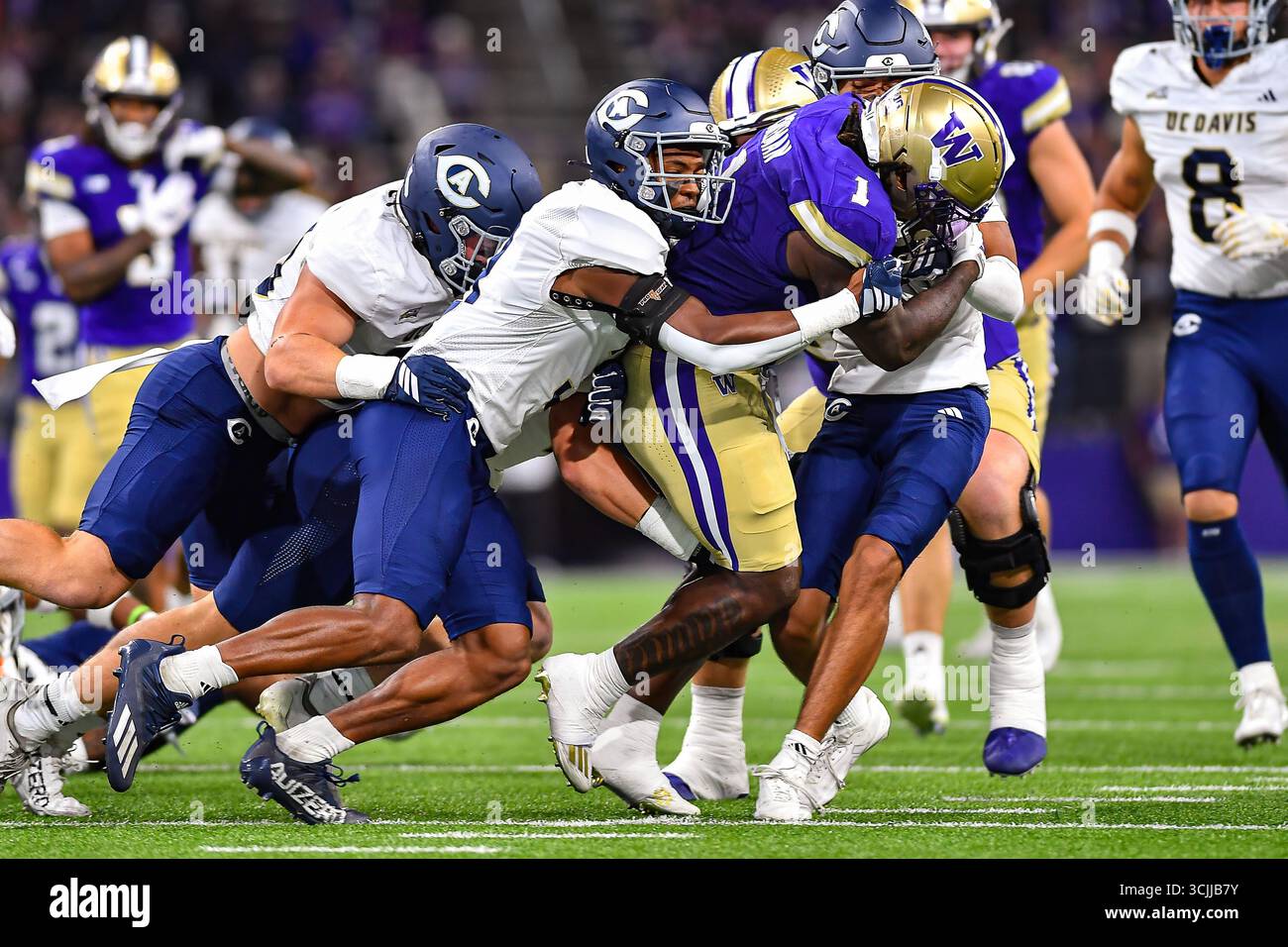 Seattle, WA, USA. September 2025. Washington Huskies Running Back Jonah Coleman (1) nimmt auf seinem Weg zu einer 5 TD-Leistung während des NCAA-Fußballspiels zwischen den UC Davis Aggies und den Washington Huskies in Seattle, WA, harte Yards auf. Washington besiegte die UC Davis mit 70:10. Steve Faber/CSM/Alamy Live News Stockfoto