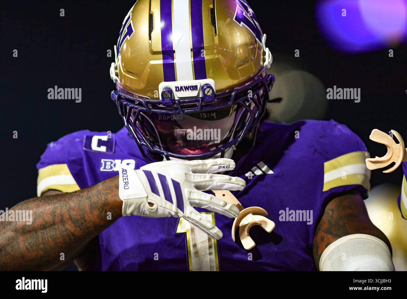 Seattle, WA, USA. September 2025. Washington Huskies Running Back Jonah Coleman (1) feiert seinen 4. Rasenden Touchdown der Nacht auf dem Weg zu einer 5-TD-Leistung während des NCAA-Fußballspiels zwischen den UC Davis Aggies und den Washington Huskies in Seattle, WA. Washington besiegte die UC Davis mit 70:10. Steve Faber/CSM/Alamy Live News Stockfoto