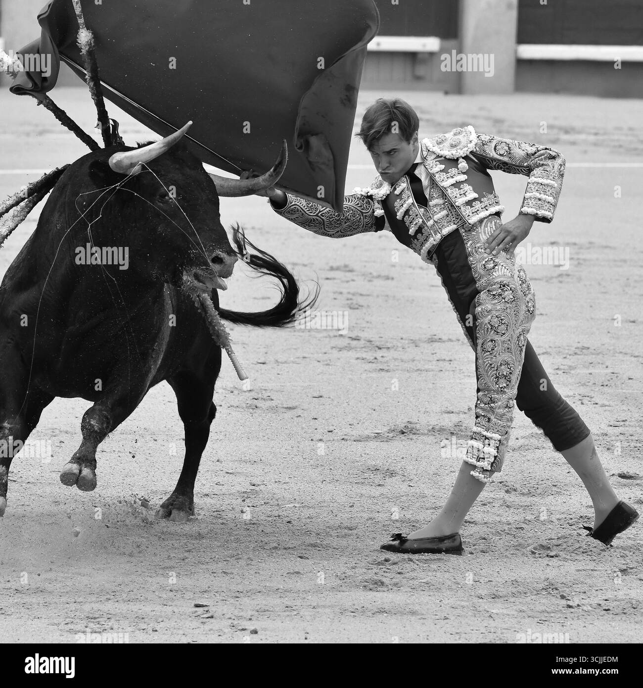 Stierkämpfer Jesús Ángel Olivas während eines Stierkampfes auf der Stierkampfarena Las Ventas mit Stieren von der Rancho Brazuelas Ranch in Madrid, 7. September 2025, Stockfoto
