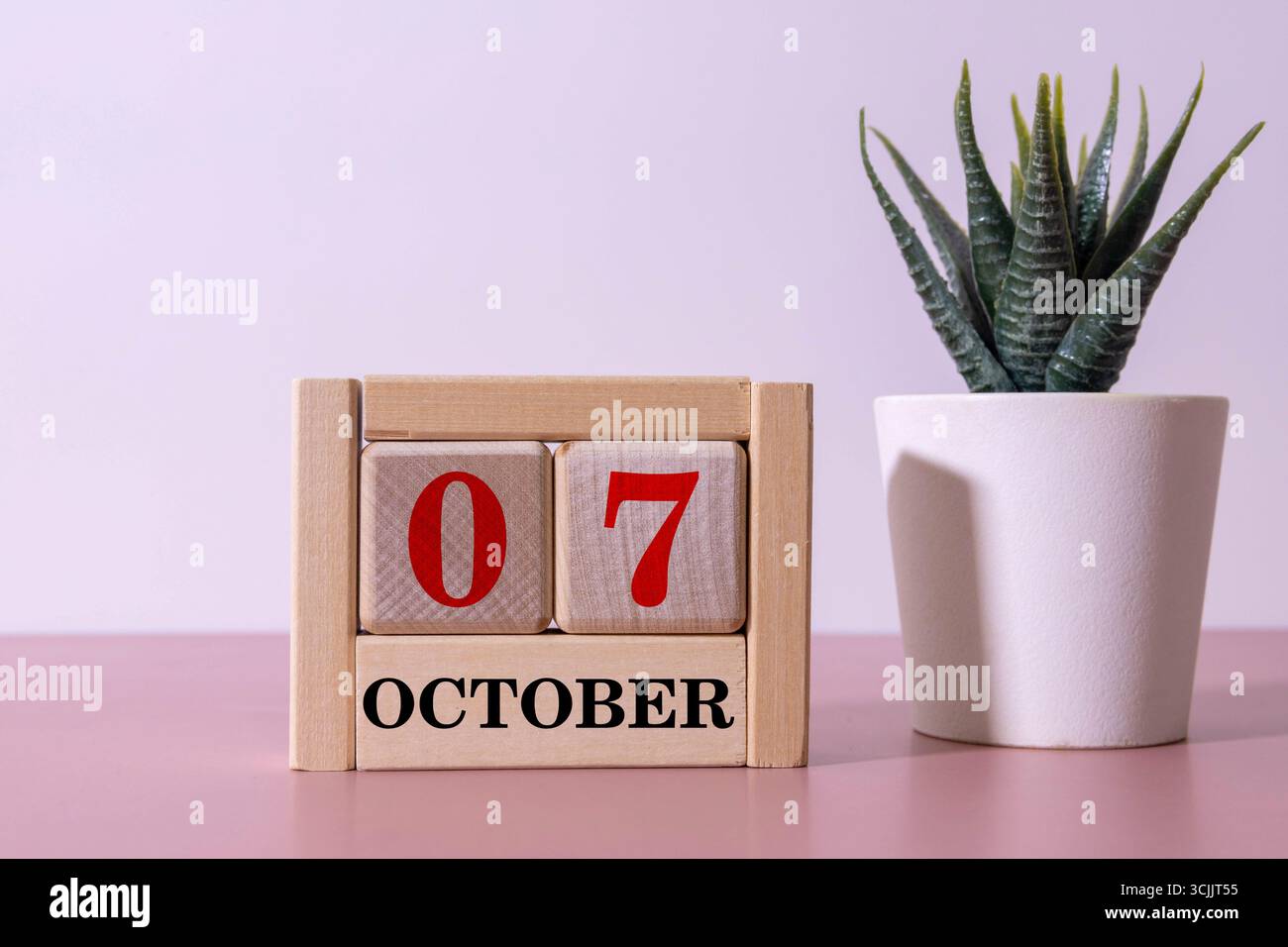 Holzkalender mit Datum vom 07. oktober und dekorativer Pflanze auf dem Tisch Stockfoto