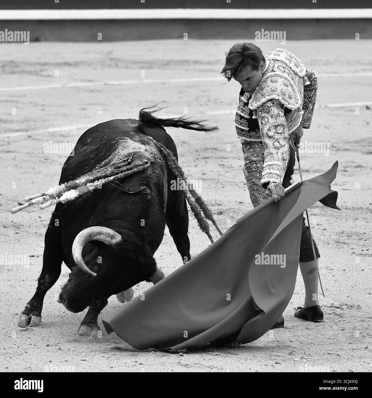 Madrid, Spanien. September 2025. Stierkämpfer Jesús Ángel Olivas während eines Stierkampfes auf der Stierkampfarena Las Ventas mit Stieren von der Rancho Brazuelas Ranch in Madrid, 7. September 2025, Spanien. (Foto: Oscar Gonzalez/SIPA USA) Credit: SIPA USA/Alamy Live News Stockfoto