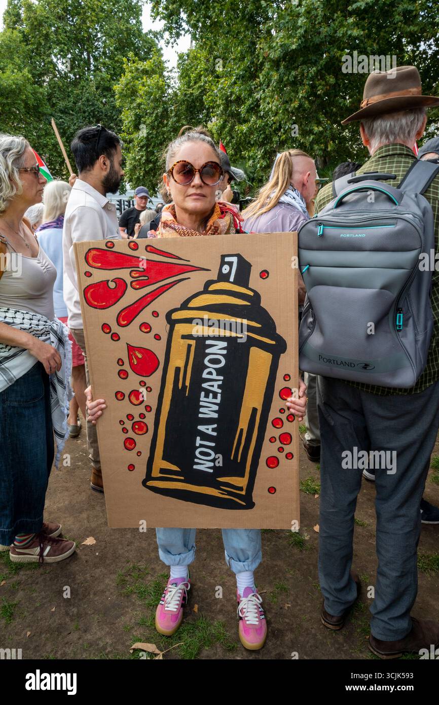 Eine Frau, die ein Plakat mit einem Zeichentrickspray hält, mit „keine Waffe“, das auf Verhaftungen von Palästinensischen Aktionen und Filton 24-Demonstranten verweist Stockfoto