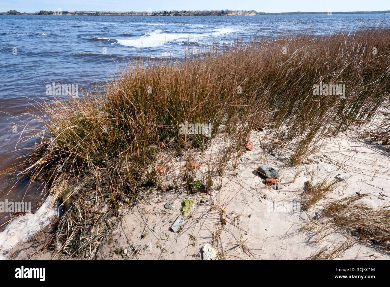 USA, North Carolina. Historische Artefakte, die an den Ufern der Stadt Braunschweig aufgespült werden. Stockfoto