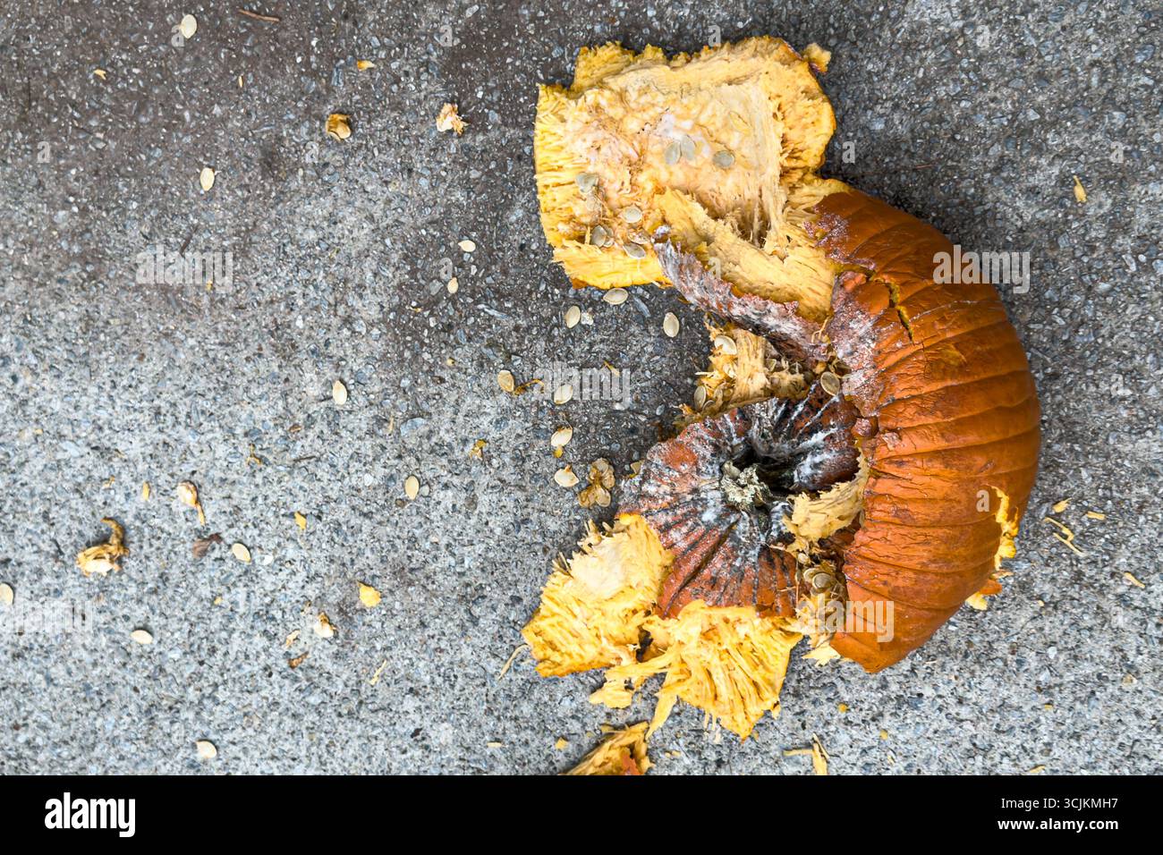 Ein weicher, verfaulender Kürbis liegt in Stücken, nachdem er nach Halloween auf dem Bürgersteig zerschlagen wurde. Stockfoto