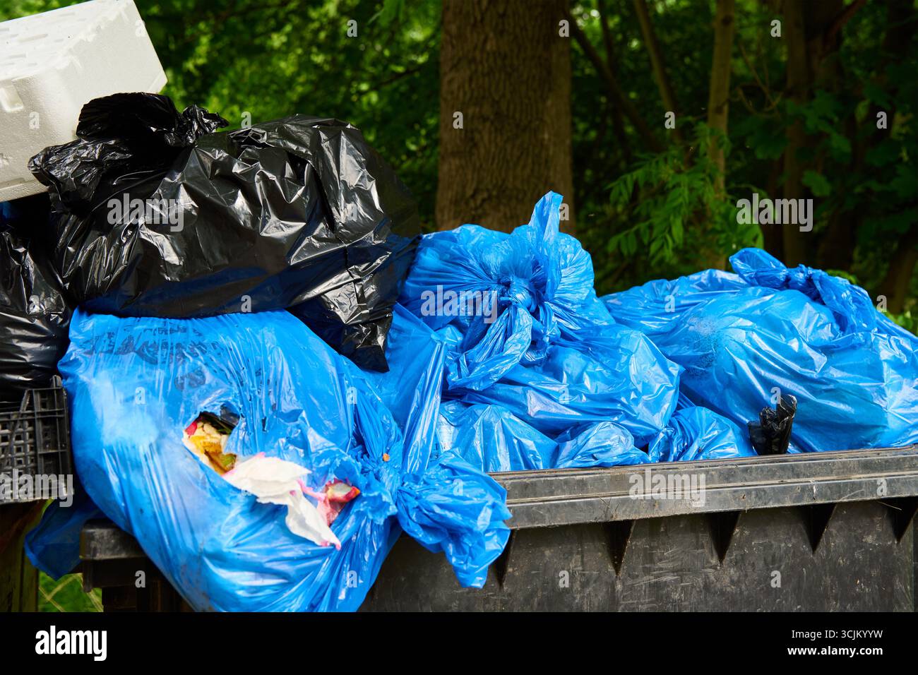 Schwarze und blaue Plastikmüllsäcke in einem großen Müllcontainer. Voller Abfallbehälter für den Außenbereich Stockfoto