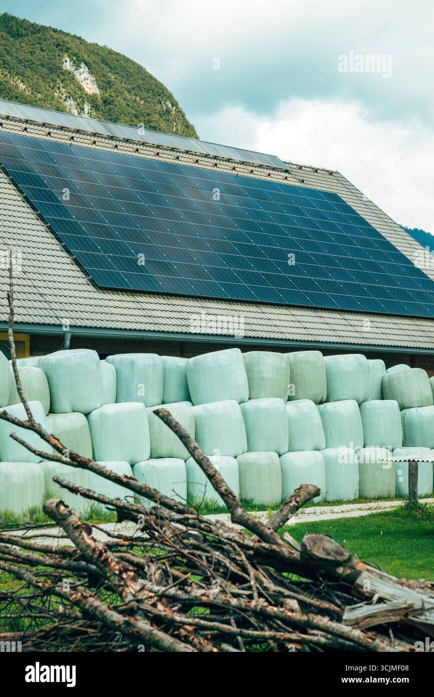 Große grüne Silageballen, die ordentlich entlang eines ländlichen Hofes angeordnet sind, mit Bergen, die hinter den Scheunen aufsteigen. Selektiver Fokus. Stockfoto
