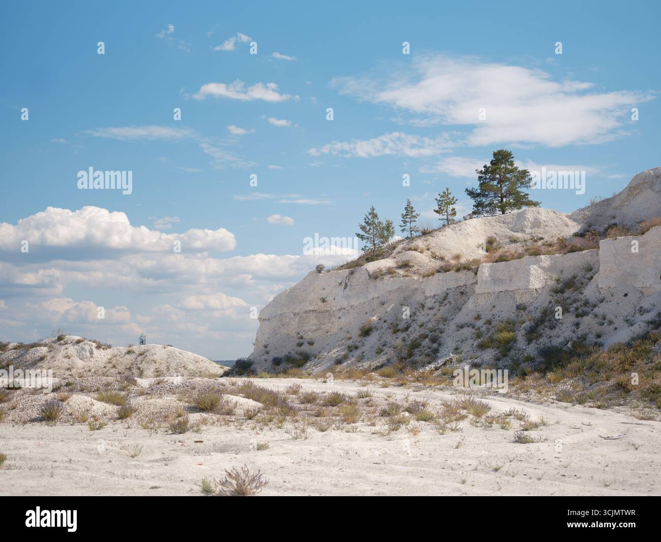 Wunderschöner weißer Berg mit strukturierter Kreideablagerung mit widerstandsfähigen grünen Kiefern vor klarem blauem Himmel und Wolken. Die Natur ist sehr schön Stockfoto