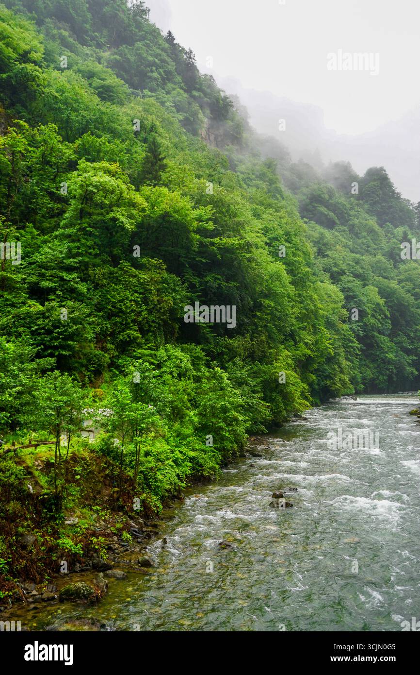 Atemberaubender Wald- und Flussblick auf die Schwarzmeerregion Karadeniz im Norden der Türkei Camlihemsin Cat Village in Rize Türkei Stockfoto