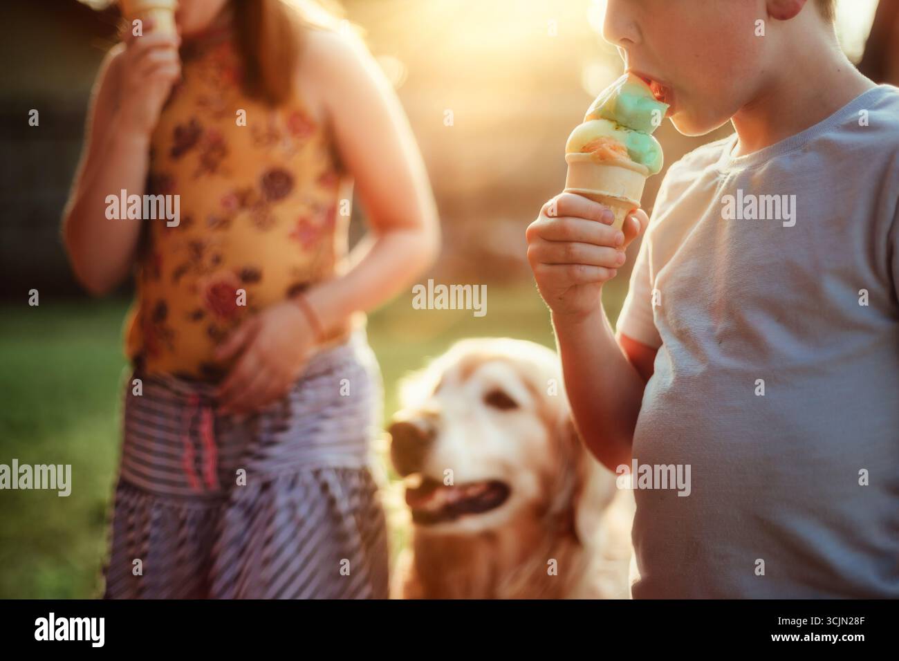 Zwei Kinder und ein Hund essen Eiskegel mit goldenem Licht Stockfoto