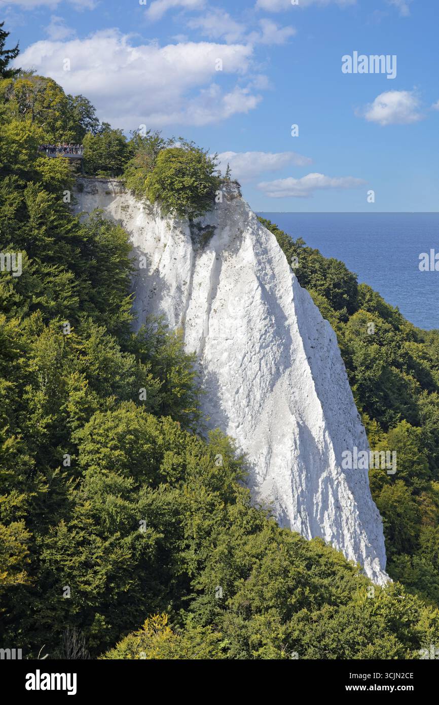 Blick von Victoria-Sicht auf den Königsstuhl, Kreidefelsen, Kreide, bewaldete Buchenwälder, Wald, Meer, Klippen, Klippen, Kreideküste, Halbinsel Jasmund, Nat Stockfoto