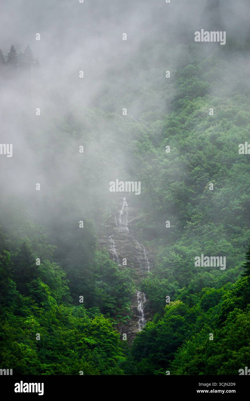 Atemberaubender Wald- und Flussblick auf die Schwarzmeerregion Karadeniz im Norden der Türkei Camlihemsin Cat Village in Rize Türkei Stockfoto