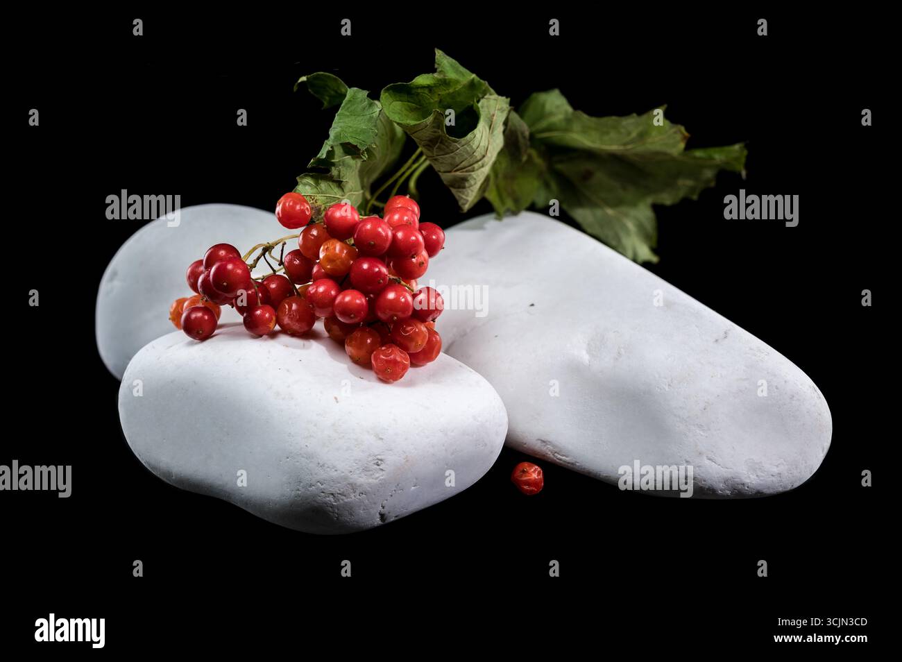 Leuchtende rote Beeren auf glatten weißen Steinen Stockfoto