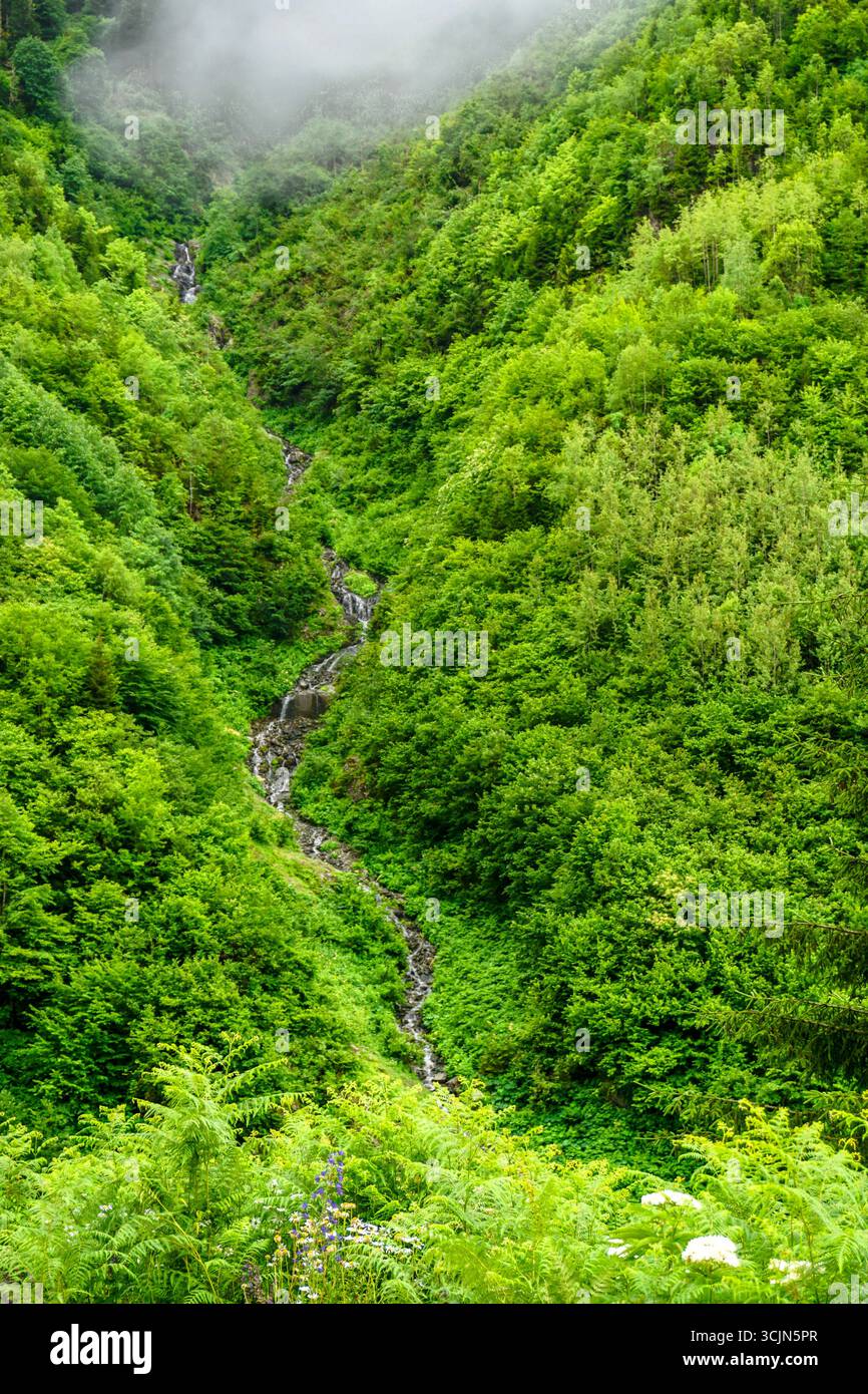 Atemberaubender Wald- und Flussblick auf die Schwarzmeerregion Karadeniz im Norden der Türkei Camlihemsin Cat Village in Rize Türkei Stockfoto