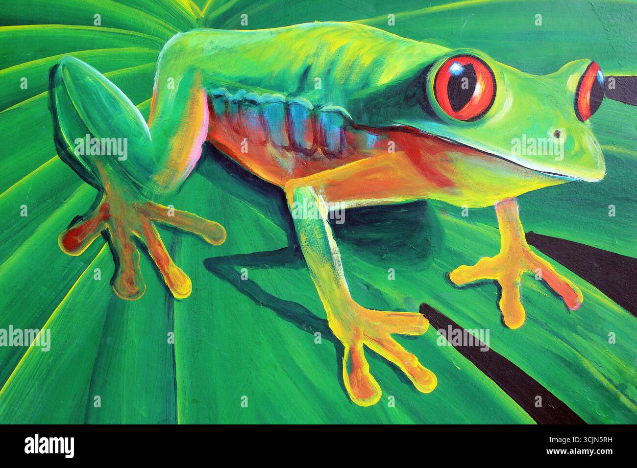 Rotäugiger Baum Frosch Gemälde Belize Stockfoto