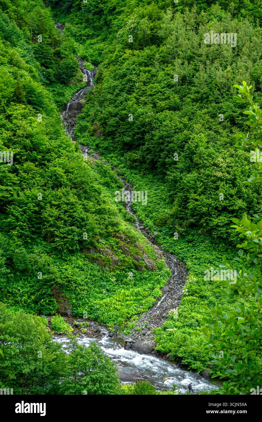 Atemberaubender Wald- und Flussblick auf die Schwarzmeerregion Karadeniz im Norden der Türkei Camlihemsin Cat Village in Rize Türkei Stockfoto