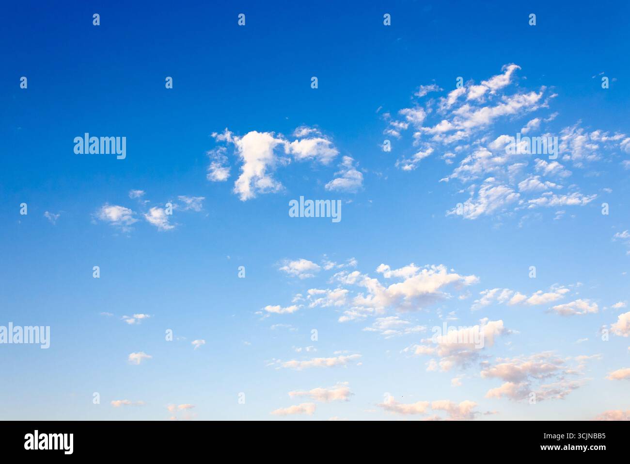 Blauer Himmel an einem sonnigen augusttag. Dynamische Wolkenbildung im Morgenlicht. Windige Wettervorhersage im Sommer. Naturfoto für Hintergrund und Compositi Stockfoto
