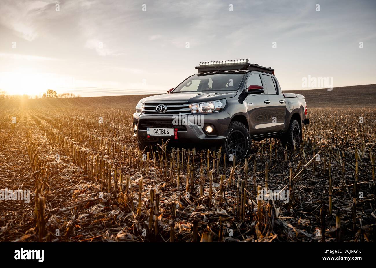 Grauer Toyota Hilux auf trockenem Feld bei Sonnenuntergang. Dreiviertel-Vorderansicht eines Pickup-Fahrzeugs mit Doppelkabine mit Dachträger und Lichtleiste in einem ernteten Maisfeld. Stockfoto