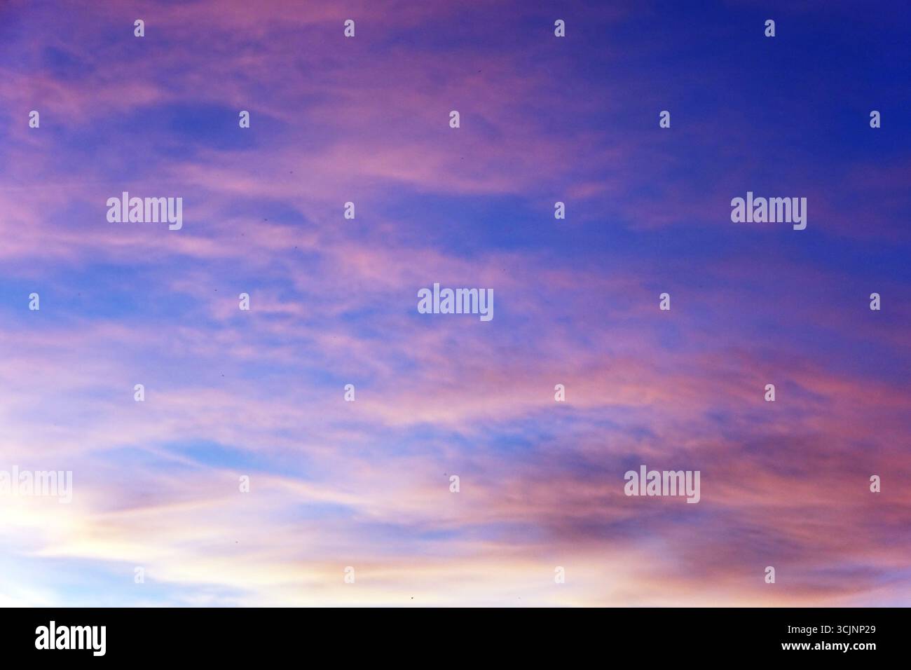 Himmel bei Sonnenuntergang mit rosa, orangen, lila, blauen und türkisfarbenen Wolken und violetten Tönen Stockfoto