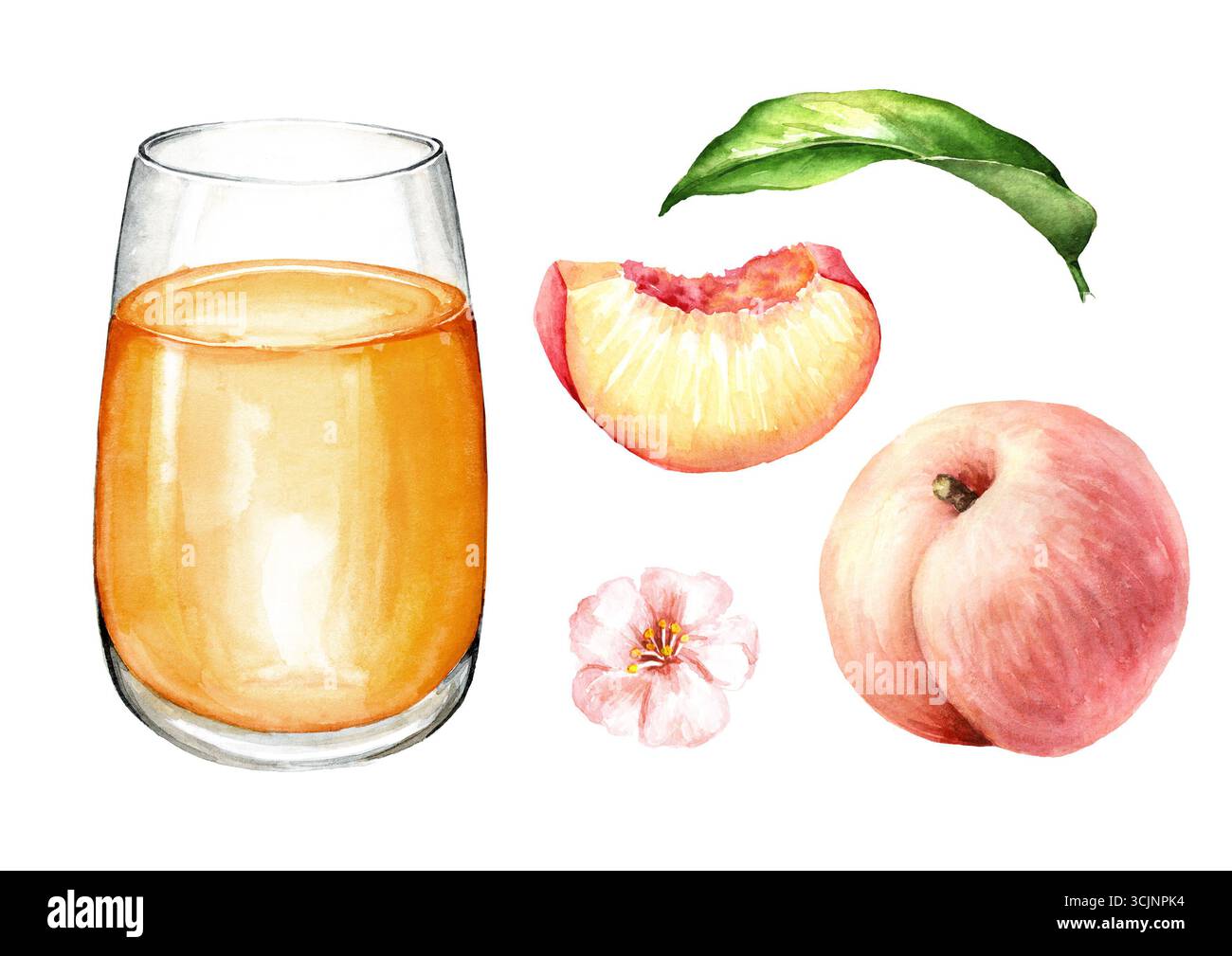 Glas Pfirsichsaft und reife Pfirsiche Set. Handgezeichnete Aquarellillustration isoliert auf weißem Hintergrund Stockfoto