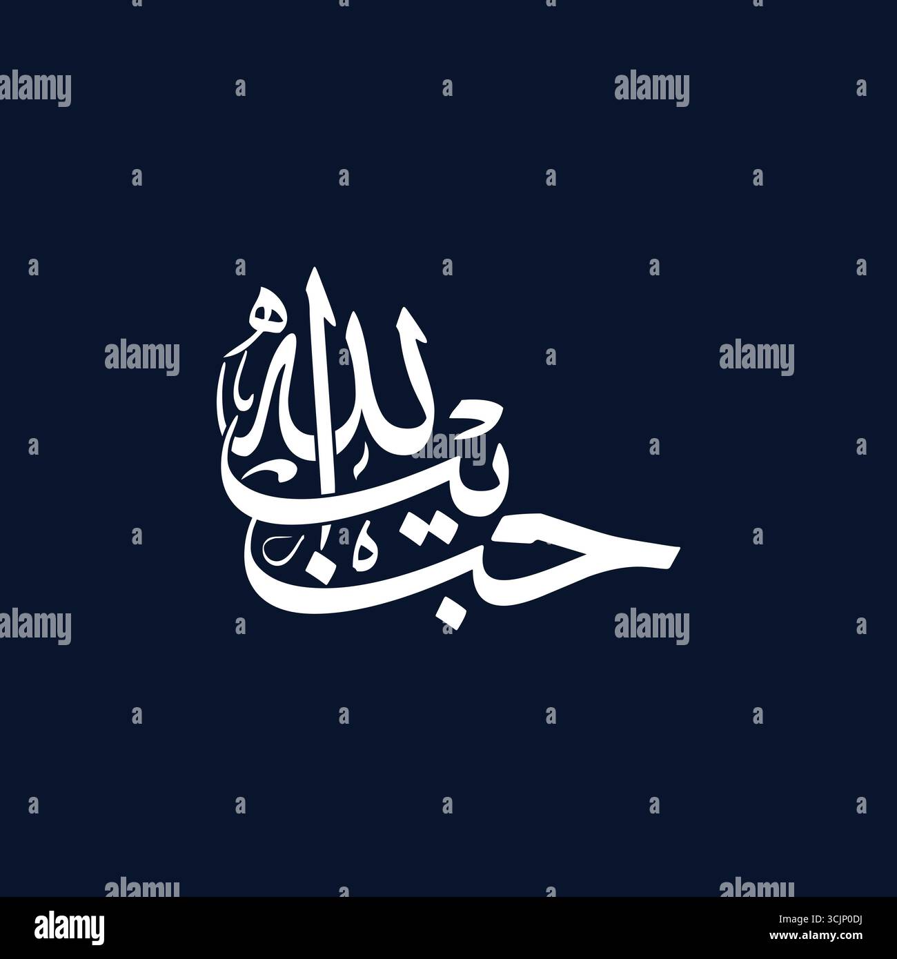 Habibullah Arabische Kalligraphie übersetzt als Geliebte von Allah eleganter islamischer Vektor-Kunst-Design Stock Vektor