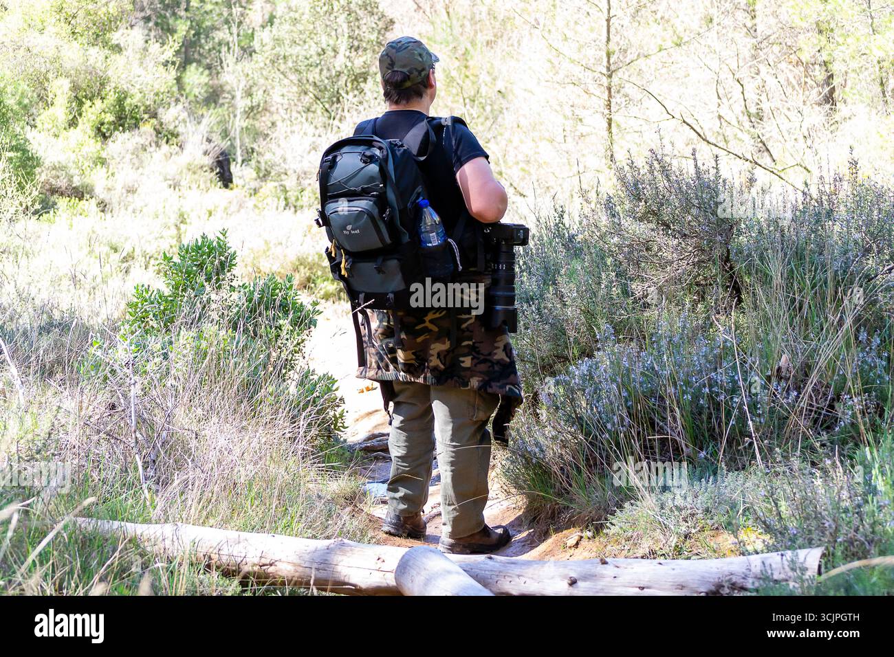Eine Person spaziert auf einem Waldweg mit Kameraausrüstung und taucht bei Tageslicht in die Schönheit der Natur ein. Stockfoto