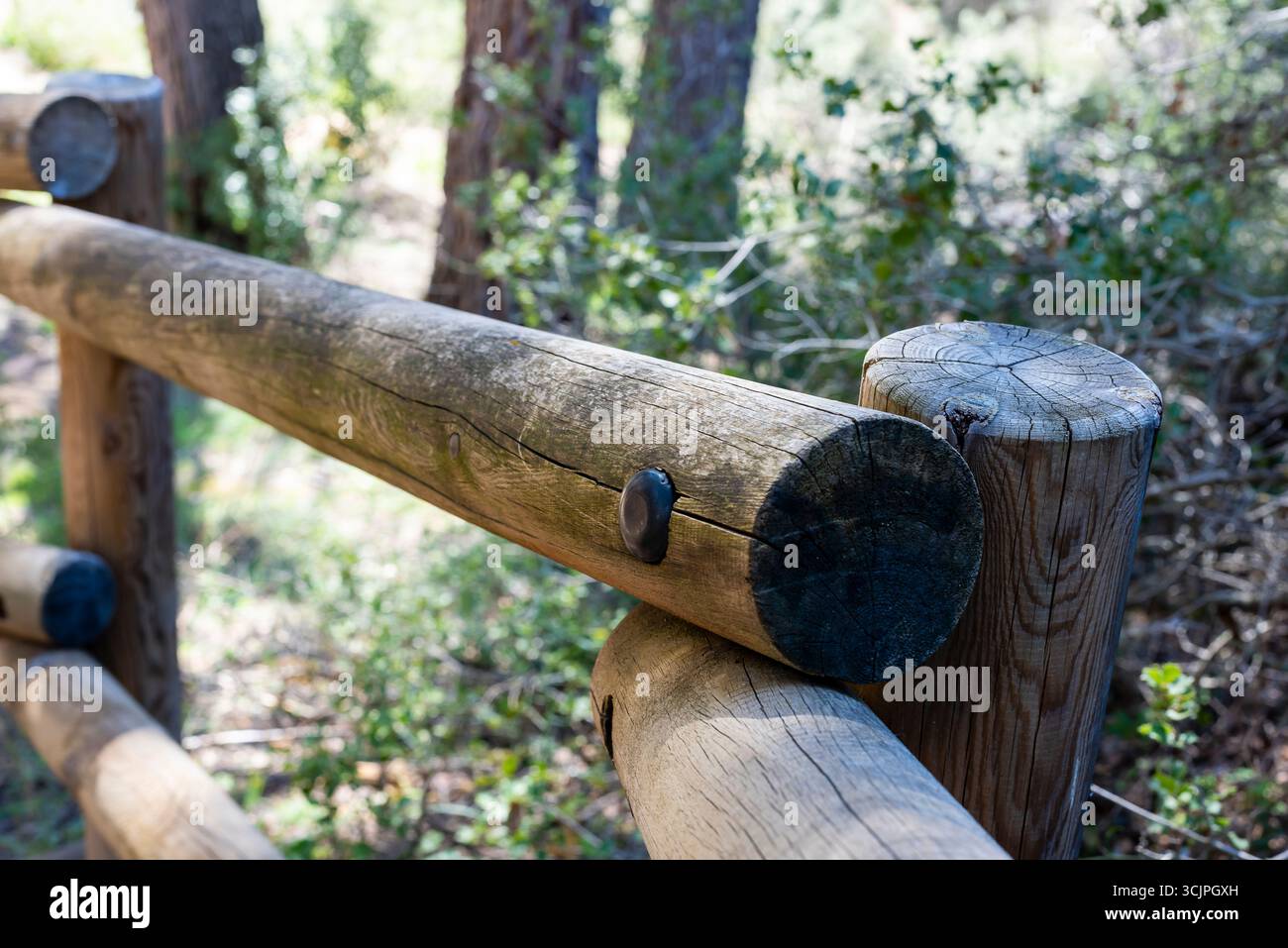 Ein Blick aus der Nähe auf einen robusten hölzernen Zaunpfosten in einem friedlichen Wald, mit Sonnenlicht, das durch die Bäume filtert. Stockfoto