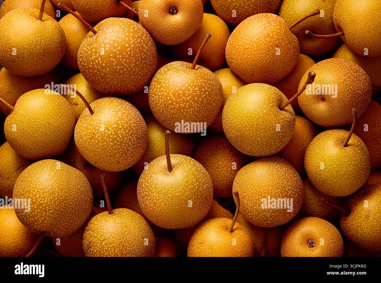 Frische lokale Bio-Nashi-Birnen auf dem Markt. Stockfoto
