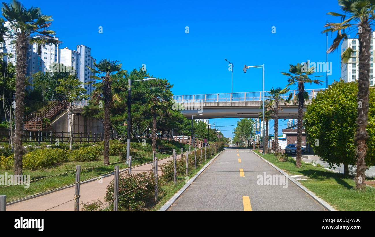 Ein Weg gesäumt von Palmen an einem sonnigen Tag Stockfoto