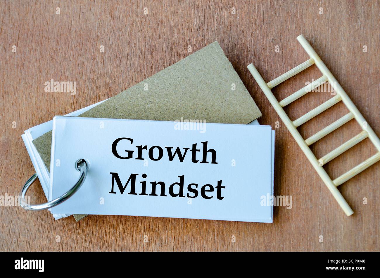 Notizblock neben der Miniatur-Leiter, die die Wachstumseinstellung zeigt, handgeschrieben in Schwarz Stockfoto