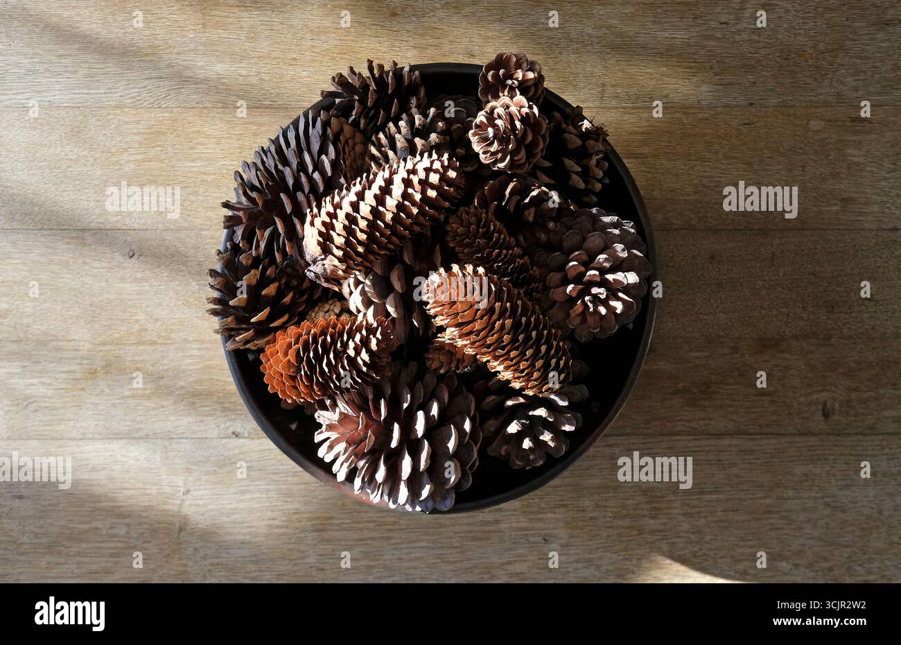 Tannenzapfen in Holzschale auf alter Eichentischplatte Stockfoto