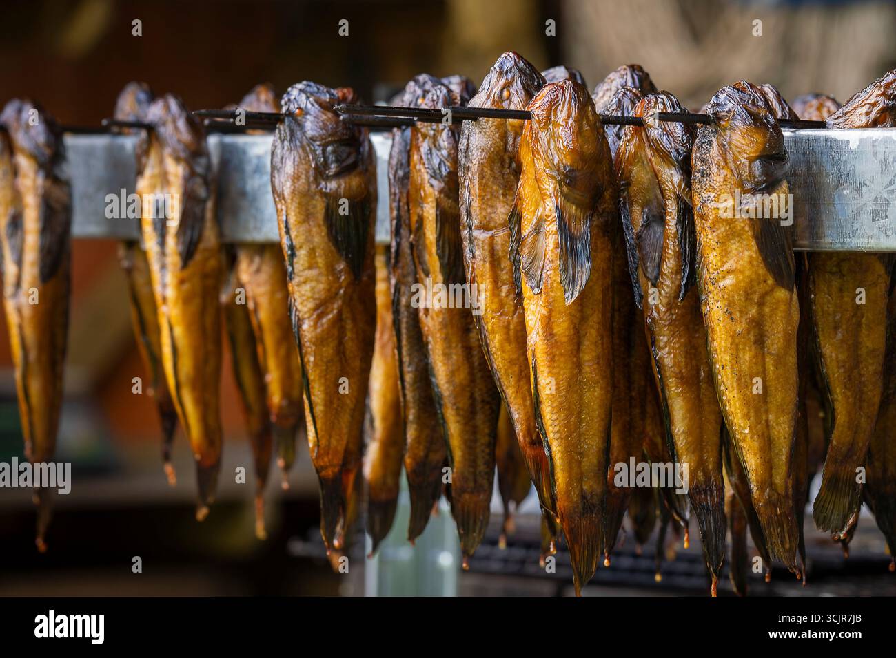 Räucherfisch (runder Ziegenfisch) in einer Räucherei. Heiß geräucherter, runder Ziegenfisch aus nächster Nähe. Stockfoto