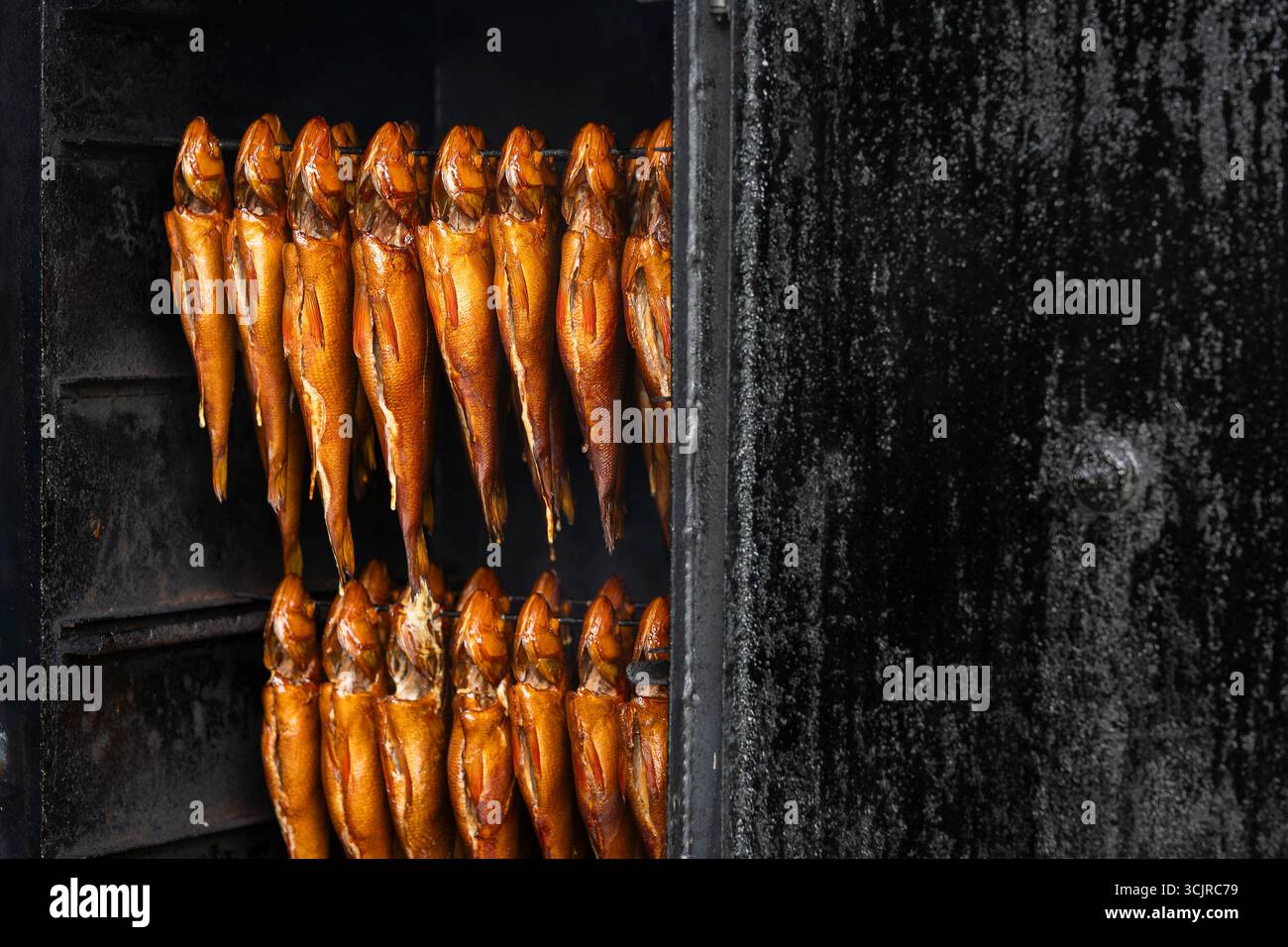 Geräucherter Fisch (Barsch) in einer Räucherei. Heißer geräucherter Barschfisch aus nächster Nähe. Stockfoto